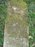 image of grave number 216613